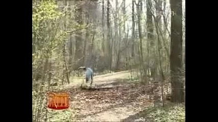 Голям Труд , Голяма шега в гората