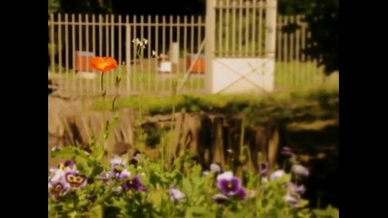 So Beautiful - Chris De Burgh