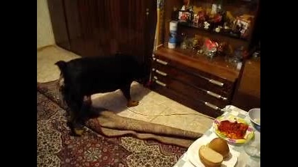 Смешната Джулия