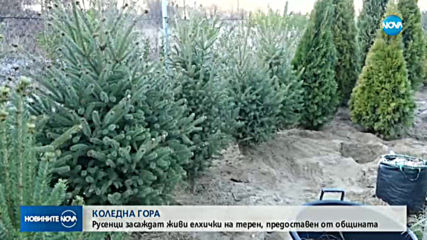 Новините на NOVA (02.01.2020 - обедна емисия)