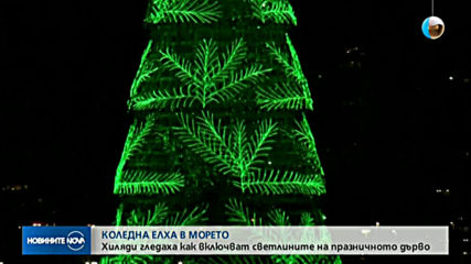Елха в морето удиви жителите на Рио
