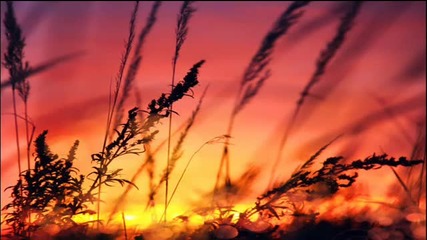 Something Wonderful - Silent Force