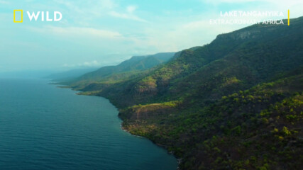 Езерото Танганайка | Езерото Танганайка: Синьото сърце на Африка | NG Wild Bulgaria