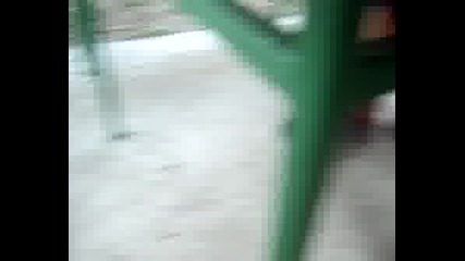 smqx :D
