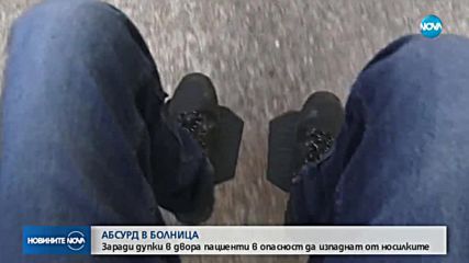 Новините на NOVA (17.01.2019 - обедна емисия)