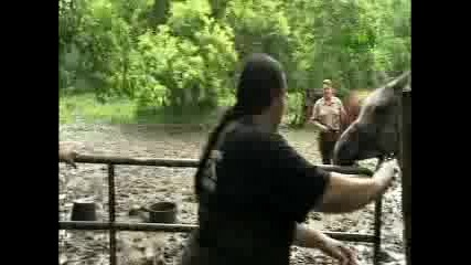 Animal Cops - Charles Jantzen Chief Investigator