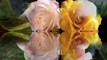 For You Jasmina Tramisak