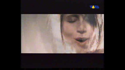 Lamb - Gabriel