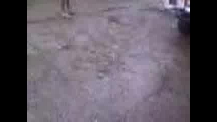 Ice Maniaci 2