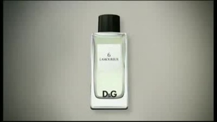 D&g Fragrance Anthology