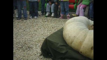 Последният ден на голямата 180 кг тиква 3