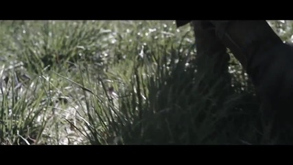 Company of Heroes 2: The Western Front Armies - Launch Trailer