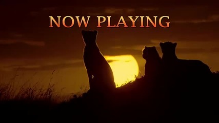 African Cats Now Playing