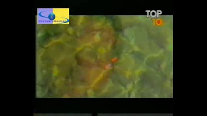 Tarkan - Asla Vazgecemem