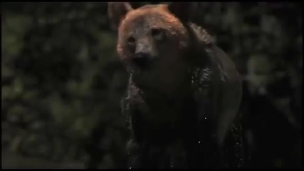 Nature is Awesome