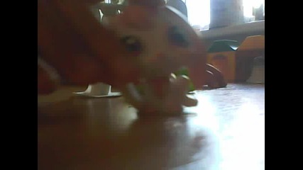 lps_4eto_1