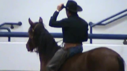 Dan Keen & Troubadour ( Mustang horse ) - Ialha show 2009 - Youtube