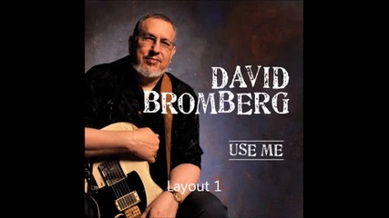 David Bromberg - Diggin' In The Deep Blue Sea