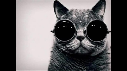 Maetrik - Walk Alone (maceo Plex Revenge Mix)