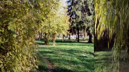 Още един топъл ,слънчев есенен ден в Пловдив,след работа в парка! 19 11 2015г