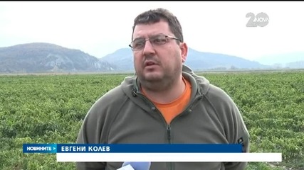 Тонове дарения за Хранителната банка заради руското ембарго