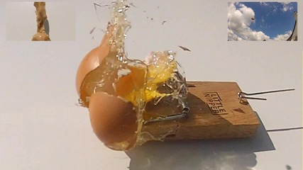 Яйце Експлоадира в Mouse Trap Slow Motion Gopro 120 кадъра в секунда