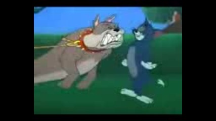 Бг пародия на Том & Джери