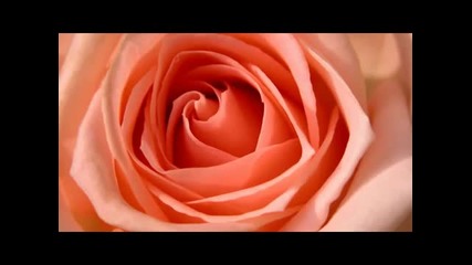 Romantic Love Songs - Instrumental Hits