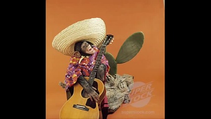 Boogie Woogie Fiddle Country Blues