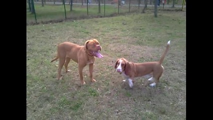 Chloе и Roni best friends
