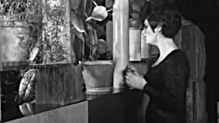 Mira Vasiljevic - Zivot pise uspomene