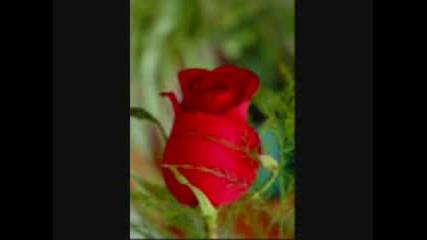 Steve Perry - Stay Awhile.