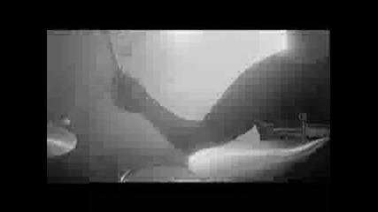 Tokio Hotel - Paparazzi