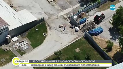 Без българско свинско месо на трапезата?