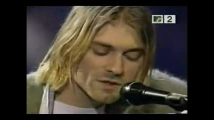 Dumb Nirvana