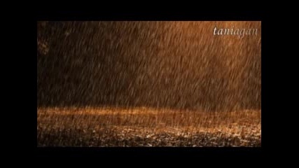 Night And Rain - Axel Rudi Pell (превод)