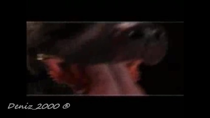 Мишо Шамара - Мой