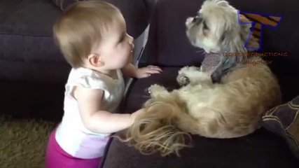 Кучета забавляват бебета ( Компилация )
