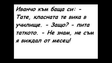 Вицове