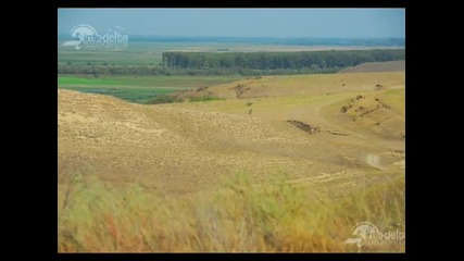 Наталия Шербънеску - Твоите очи, черни маслини