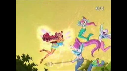 Layla Winx Enchntix And Fairy Dist