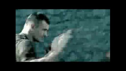 Mirko Crocop Ultimate Fight