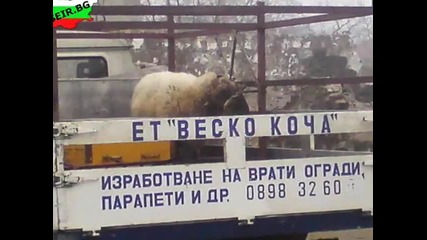 Бг простотии! ^трябва да се види^