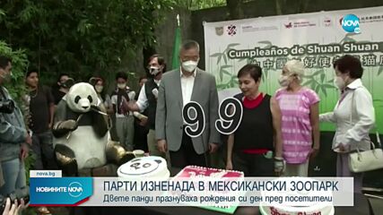 Парти изненада за две панди в мексикански зоопарк