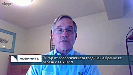 Тигър от зоологическата градина на Бронкс се зарази с COVID-19