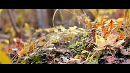 (2012) Johan Reinhold - Tears From The Start