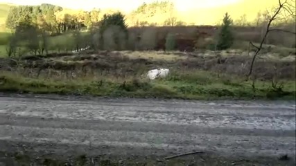 Wrc Wales Rally Gb 2010 - Sebastien Ogier Crash