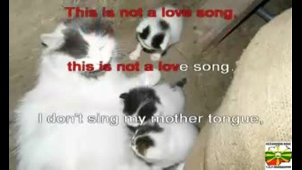 Rammstein - Amerika - Karaoke (with Vokal) 