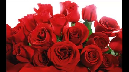 Nick Cave & Kylie Minogue - Where The Wild Roses Grow