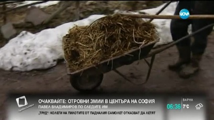 Започва изграждането на временен горски път към Безводно